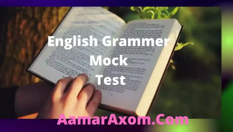 english-grammer-mock-test